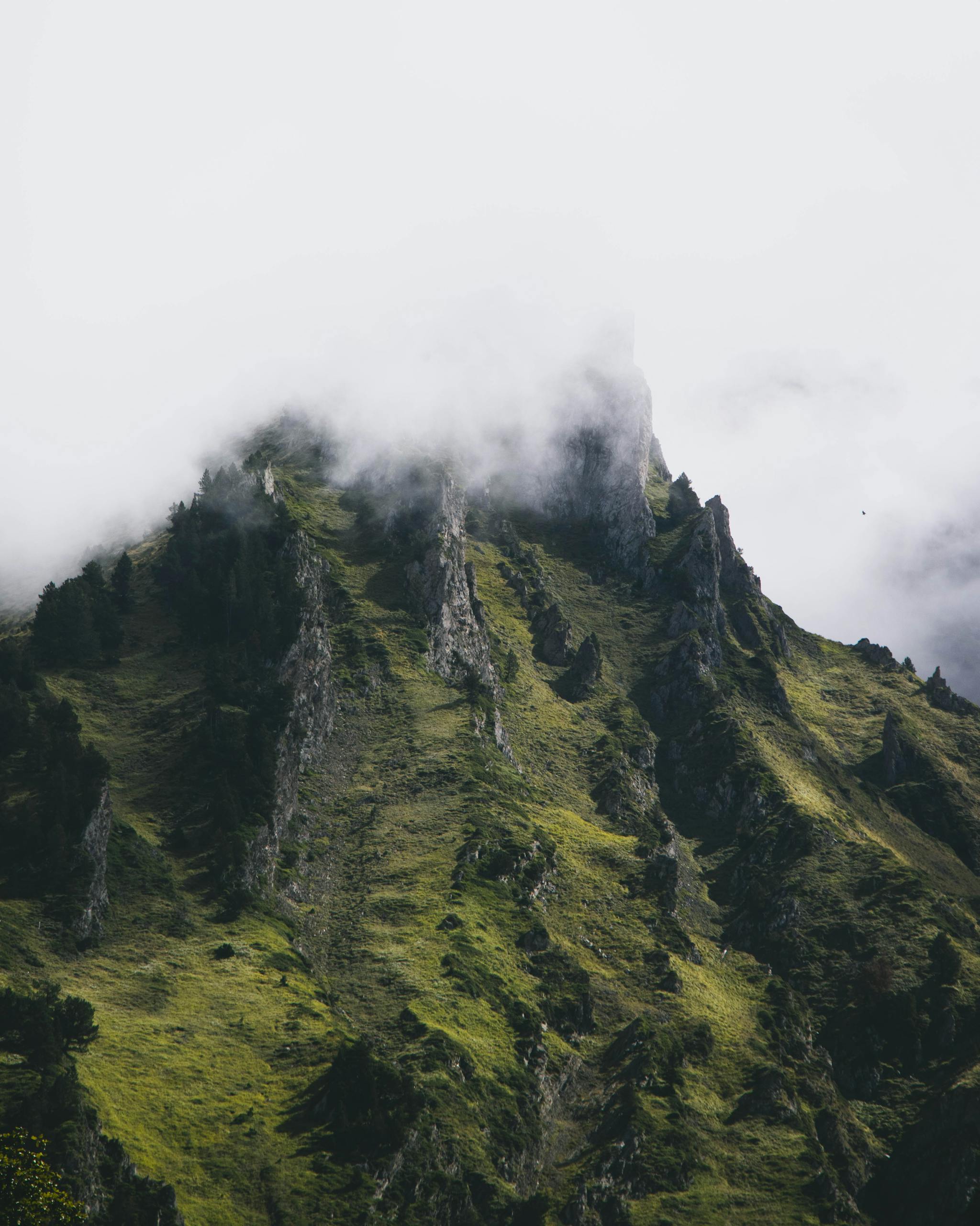 Scenic Panorama of a Mountain With Peak Hidden in Fog